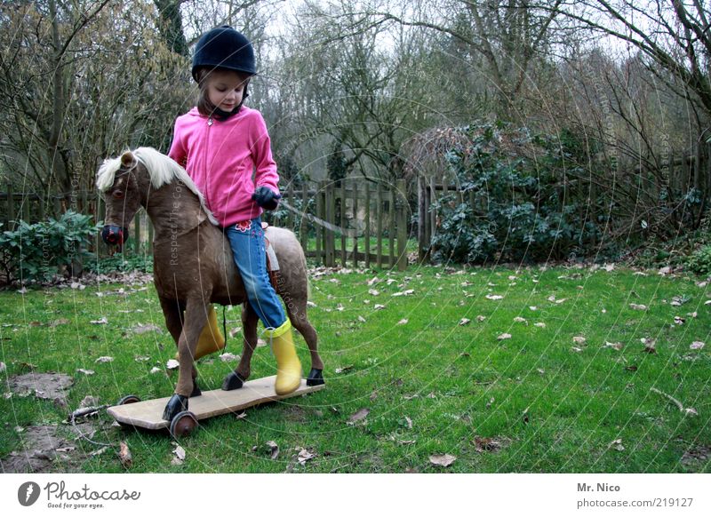 Galopper des Jahres Freizeit & Hobby Spielen Reiten Garten Reitsport Mädchen Kindheit Natur Herbst Gummistiefel Helm Pferd gelb grün rosa Freude Holzpferd