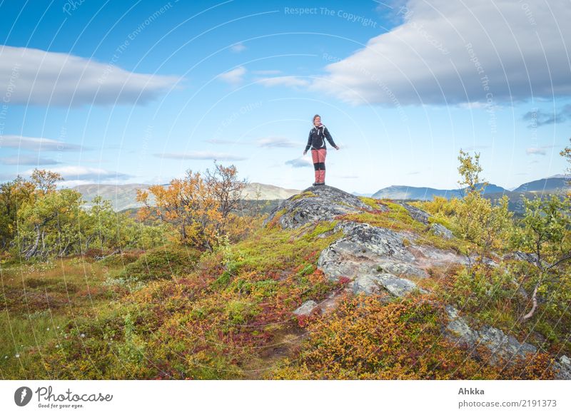 Wilder Herbst Ferien & Urlaub & Reisen Ausflug Abenteuer Ferne Freiheit Junge Frau Jugendliche Natur Landschaft Schönes Wetter Sträucher Felsen Berge u. Gebirge