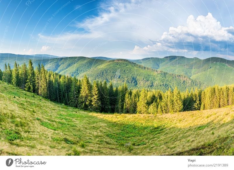 Panorama mit grünen Bergen schön Ferien & Urlaub & Reisen Tourismus Sommer Berge u. Gebirge Umwelt Natur Landschaft Pflanze Himmel Wolken Horizont Sonnenaufgang