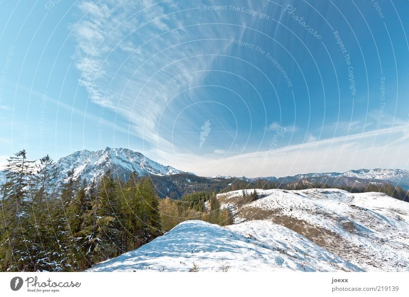 Erster Schnee Natur Landschaft Himmel Winter Wetter Schönes Wetter Alpen Berge u. Gebirge Gipfel Schneebedeckte Gipfel groß hoch blau grün weiß ruhig Freiheit