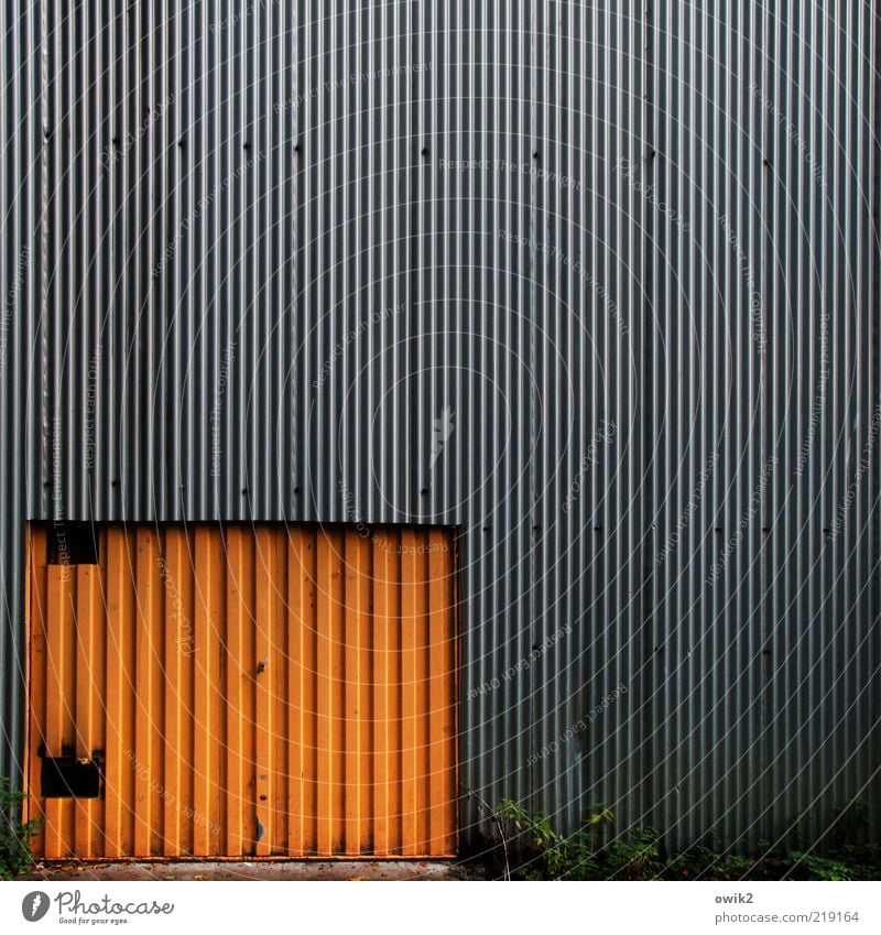 Out of Charleroi Design Garage Pflanze Sträucher Bauwerk Gebäude Architektur Tür Tor Metall alt eckig einfach hässlich stagnierend Farbe parallel Bildausschnitt