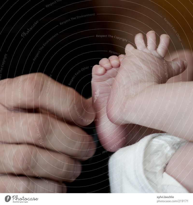 Alles dran! Gesundheit Wohlgefühl Zufriedenheit Mensch Kind Baby Mann Erwachsene Eltern Vater Familie & Verwandtschaft Kindheit Leben Hand Finger Gesäß Fuß