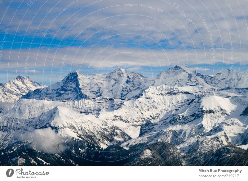 Eiger, Mönch, Jungfrau Freiheit Winter Schnee Berge u. Gebirge Farbfoto Außenaufnahme Menschenleer Tag Kontrast Starke Tiefenschärfe Panorama (Aussicht)