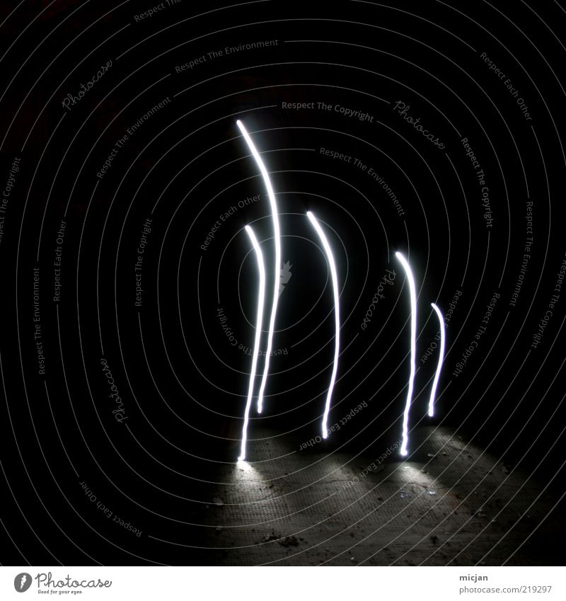 Lightworm Family | On Vacation dünn Kunst skurril Linie leuchten mehrere mystisch Schwarzweißfoto hell dunkel 5 Innenaufnahme Experiment Menschenleer