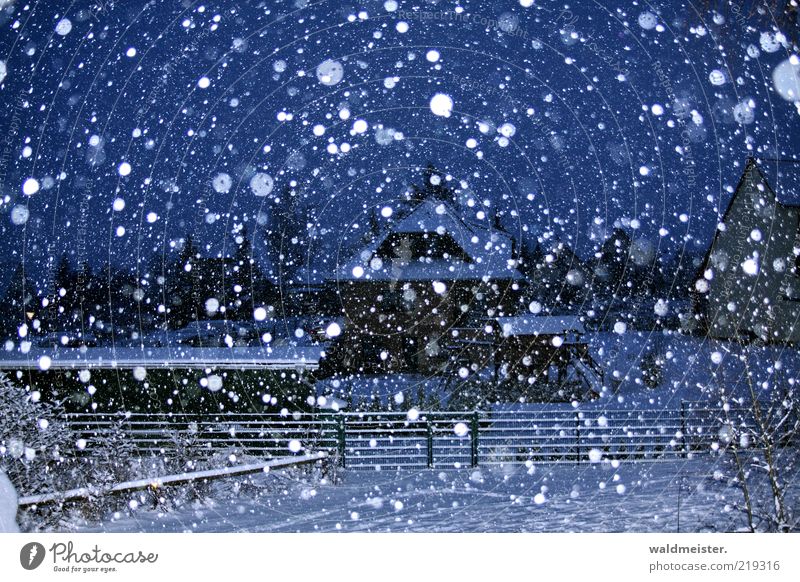 Winterlandschaft Landschaft Schnee Schneefall Dorf Kleinstadt Haus ästhetisch blau schwarz weiß kalt ruhig Schneeflocke Zaun Farbfoto Außenaufnahme abstrakt