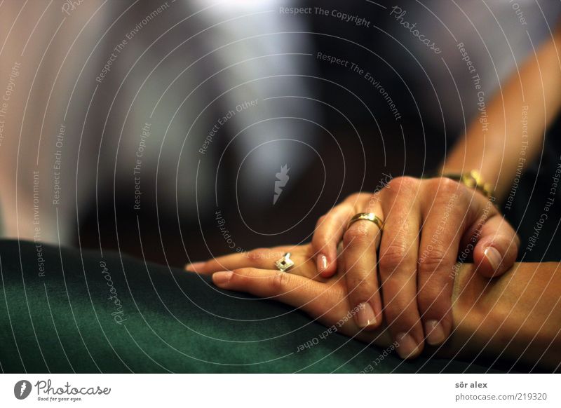 verliebt - verlobt - verheiratet Mensch feminin Frau Erwachsene Hand Finger 1 18-30 Jahre Jugendliche Ring Ehering Verlobungsring Metall Gold Liebe warten schön