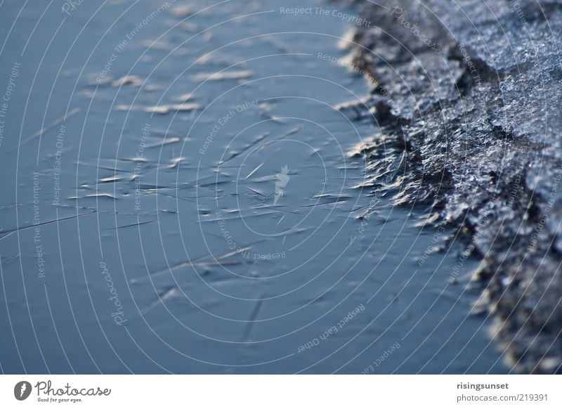 Eis Umwelt Natur Wasser Winter Frost alt ästhetisch fest kalt blau grau Klima Stein gefroren Farbfoto Außenaufnahme Nahaufnahme Detailaufnahme Makroaufnahme