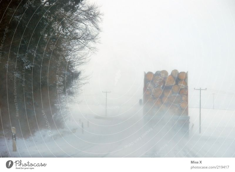 Winterfreuden Eis Frost Schnee Schneefall Verkehr Verkehrsmittel Verkehrswege Straßenverkehr Fahrzeug Lastwagen fahren weiß gefährlich Verkehrssicherheit Holz