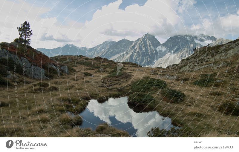 Einsam .................... | Antholz [12] Urelemente Wolken Baum Gras Sträucher Hügel Felsen Alpen Berge u. Gebirge Antholzer Tal Südtirol Teich Riesenferner