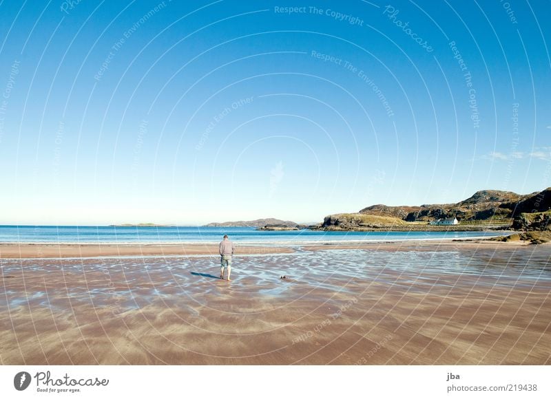 spatzieren Ferien & Urlaub & Reisen Ausflug Ferne Strand Meer Mensch maskulin Natur Sand Wasser Himmel Sommer Herbst Schönes Wetter Küste Bucht Schottland