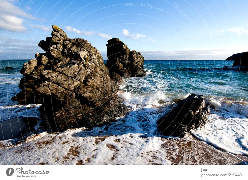 beständig Ferien & Urlaub & Reisen Ausflug Freiheit Strand Meer Natur Sand Wasser Herbst Küste Schottland Stein alt eckig einzigartig Felsen Schaum Gischt