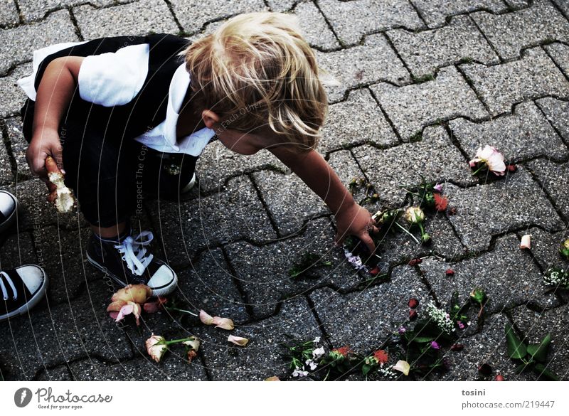 Blumenkind maskulin Kind Kleinkind Junge 1 Mensch 1-3 Jahre Schuhe blond kurzhaarig hocken Pflastersteine Hochzeitstag (Jahrestag) verteilen aufräumen Anzug