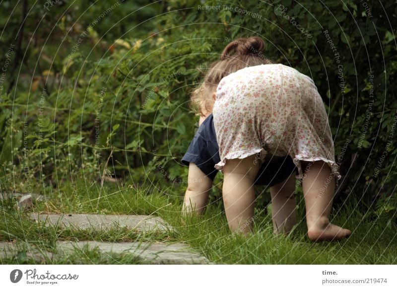 Der aufrechte Gang erfordert gewissenhafte Vorbereitungen Garten Kind Mensch Kleinkind Mädchen Arme Beine Hose krabbeln grün Gefühle Vorfreude selbstbewußt