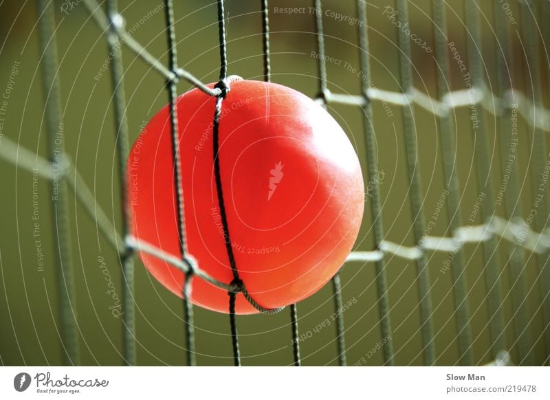 Gefangen im Netz Freizeit & Hobby Ballsport Kugel listig gefährlich Verbote Netzwerk Tennisnetz netzartig orange rot Fangnetz Schlaufe Niederlage Missgeschick