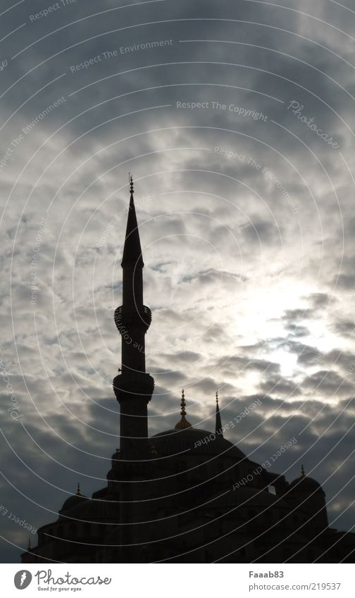 Opium fürs Volk Städtereise Himmel Wolken Sonnenlicht Hauptstadt Kirche Bauwerk Gebäude Architektur Sehenswürdigkeit Wahrzeichen Religion & Glaube Istanbul