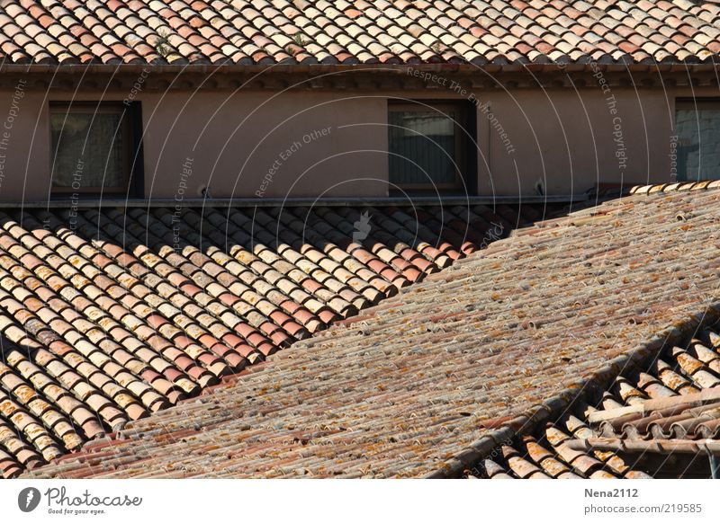Über die Dächer.... Stil Häusliches Leben Haus alt ästhetisch Dach Fenster Dachziegel Dachgiebel Dachüberhang Dachgeschoss südländisch mediterran Ton Spanien