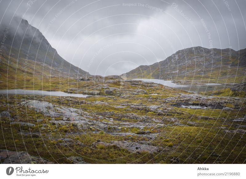 Regenstimmung in Berglandschaft in Norwegen, grau, nass Natur Urelemente Wolken schlechtes Wetter Berge u. Gebirge Fjäll dunkel trist wild Traurigkeit Sorge