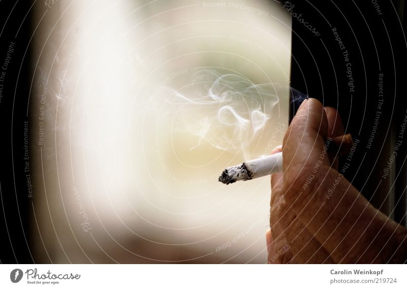 Smokin' Mensch Hand Finger Rauch Rauchen Laster Einsamkeit Genusssucht Zigarette Zigarettenasche Pause Farbfoto Gedeckte Farben Außenaufnahme Nahaufnahme