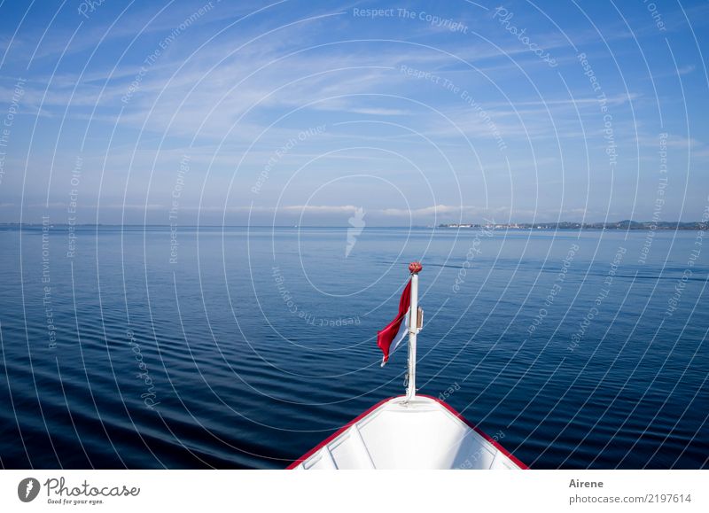 in See stechen Ausflug Wasser Himmel Schönes Wetter Küste Bodensee Österreich Schifffahrt Binnenschifffahrt Passagierschiff Fähre Schilder & Markierungen Fahne