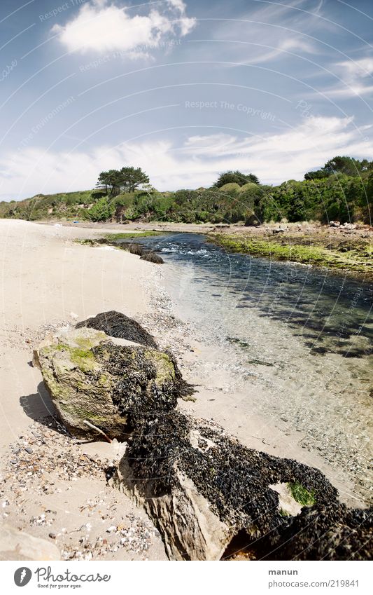 Aber-Fluss Ferne Sommer Natur Landschaft Urelemente Erde Sand Wasser Baum Felsen Flussufer Riff fantastisch wild Fernweh einzigartig Idylle Perspektive Farbfoto