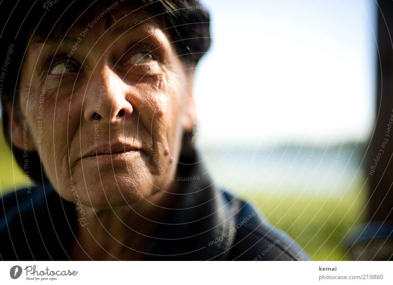 Blick nach Morgen Mensch Frau Erwachsene Weiblicher Senior Haut Kopf Gesicht Auge Nase Mund Lippen 1 45-60 Jahre Denken Erwartung Hoffnung Wunsch Zukunft