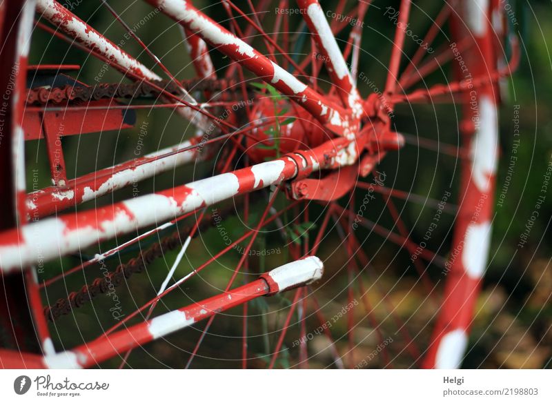 jenseits des Mainstreams | speziell Fahrrad Fahrradständer Speichen Fahrradkette Fahrradnabe Metall stehen alt außergewöhnlich einzigartig braun grün rot weiß