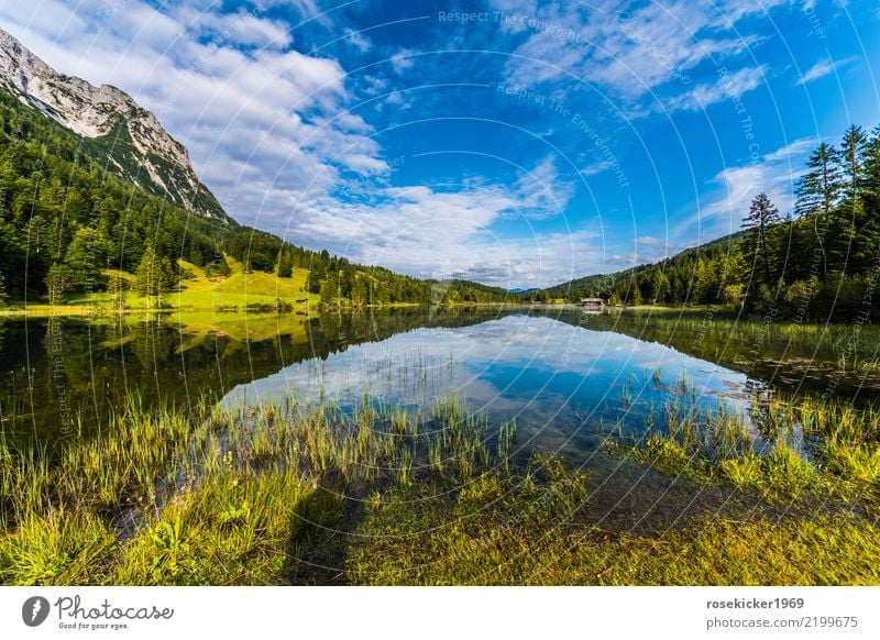 Alpensee harmonisch Schwimmen & Baden Angeln Ferien & Urlaub & Reisen Ausflug Ferne Freiheit Berge u. Gebirge wandern Umwelt Natur Landschaft Wasser Himmel