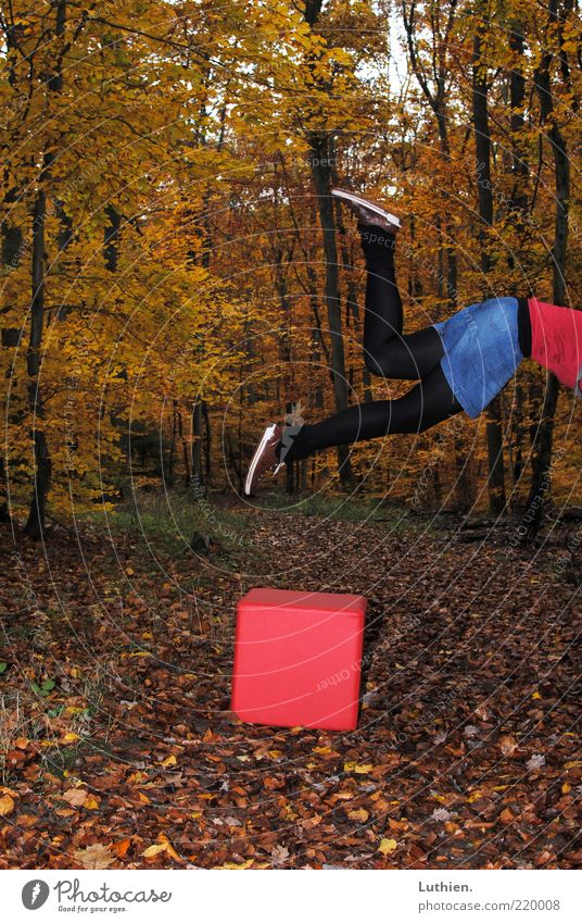 wo ist der Würfel? Mensch Beine Fuß 1 Natur Herbst Wald fallen fliegen außergewöhnlich gelb gold rot schwarz Strumpfhose Wege & Pfade Herbstlaub Herbstwald