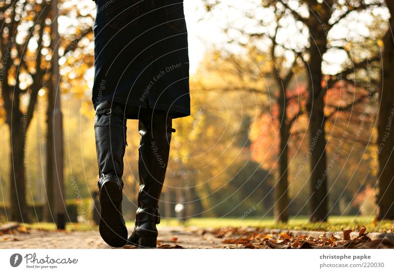 Fort-Schritt Freizeit & Hobby feminin Beine 1 Mensch Herbst Schönes Wetter Blatt Park Wege & Pfade Rock Stiefel Erholung gehen Unendlichkeit Willensstärke