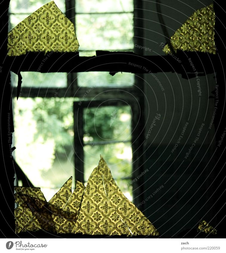 Durchblick Haus Hütte Ruine Fenster Tür Glas alt dreckig dunkel kaputt trist gelb grün Verfall Zerstörung Scherbe Fensterscheibe Farbfoto Gedeckte Farben