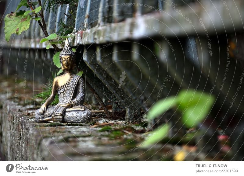 Buddha auf alter Mauer vor altem Eisenzaun meditierend harmonisch Erholung ruhig Meditation Kunst Kultur Wand Dekoration & Verzierung Kitsch Krimskrams