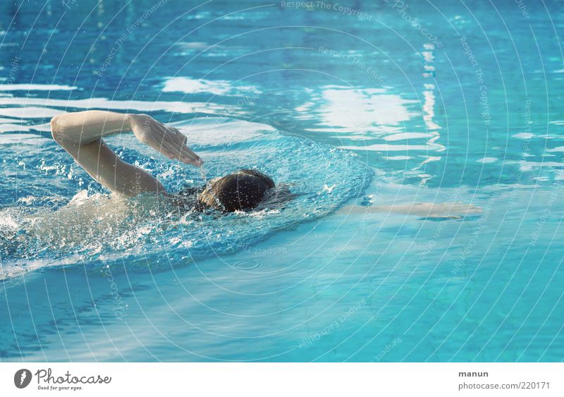 Kraul Freizeit & Hobby Sport Fitness Sport-Training Wassersport Sportler Schwimmbad Mensch maskulin Leben Rücken Arme 1 sportlich Coolness Kraft diszipliniert