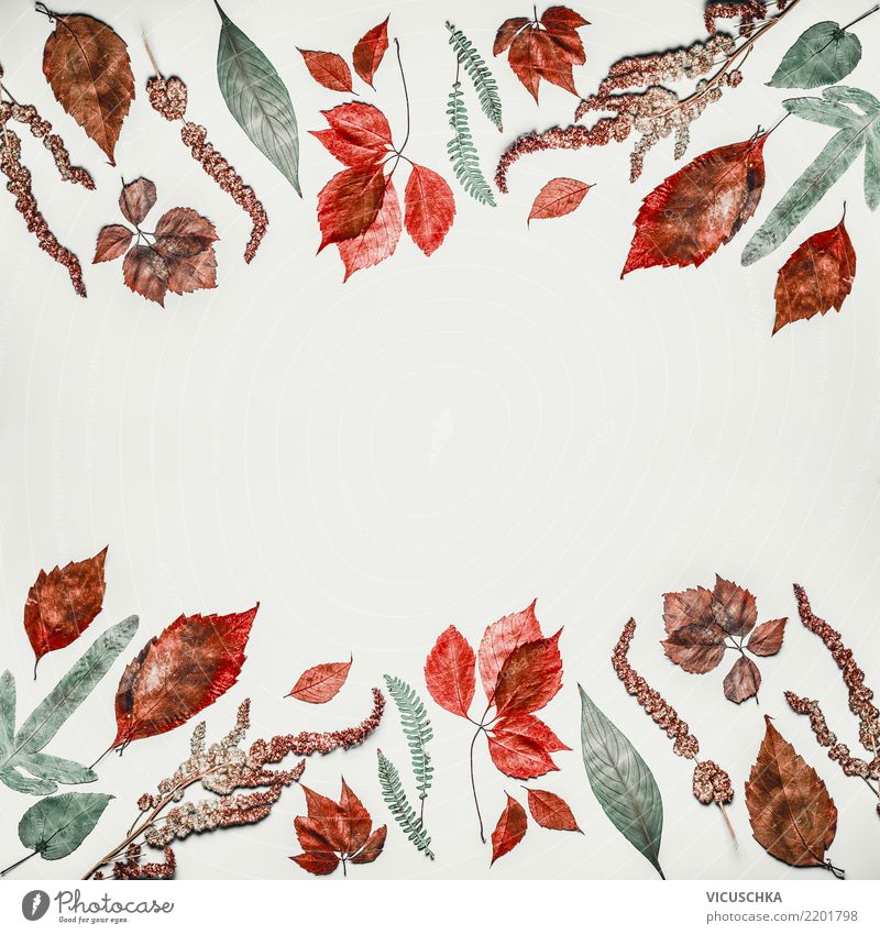 Herbstlicher Muster Hintergrund Rahmen mit Herbstlaub Stil Erntedankfest Natur Pflanze Blatt Dekoration & Verzierung trendy Design arrangiert Hintergrundbild