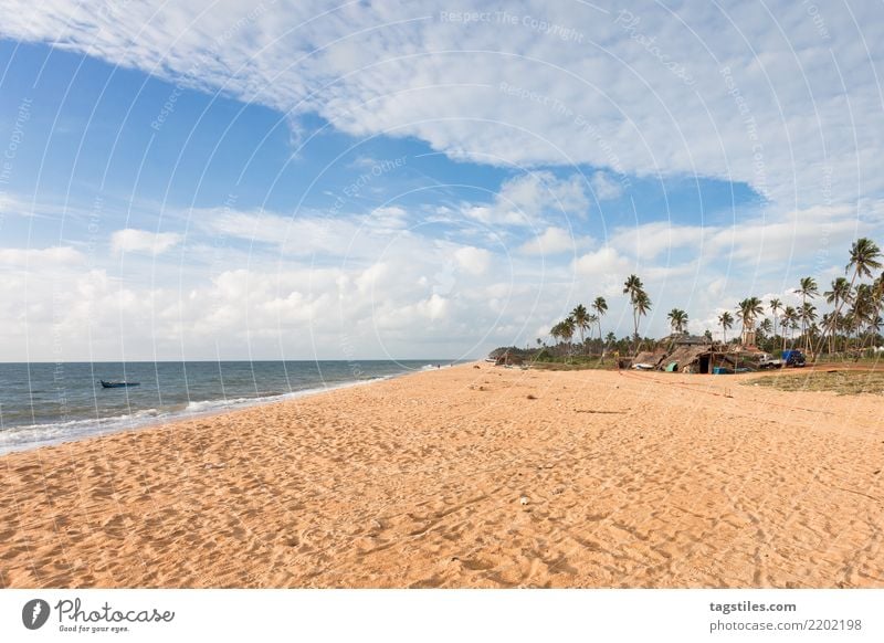 Toduwala Strand, Sri Lanka, Asien Thoduwawawa Toduwawawa Ferien & Urlaub & Reisen reisend Idylle Freiheit Postkarte Tourismus Sonne Sonnenstrahlen Sommer