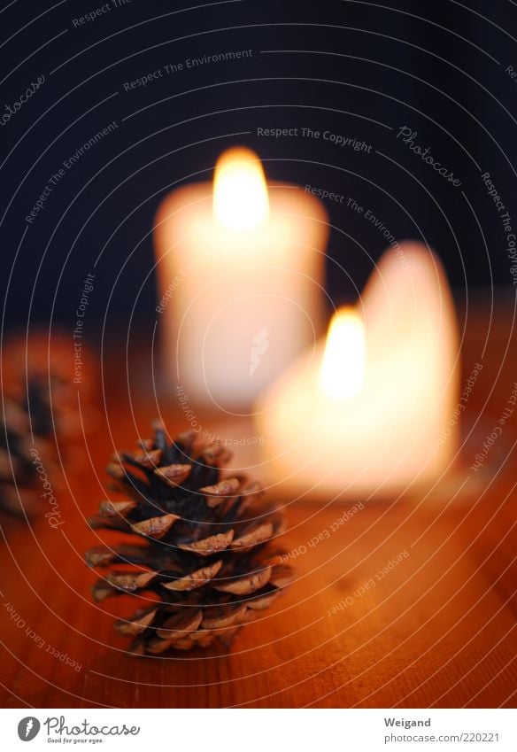Auf dem Weihnachtsbasteltisch harmonisch Feste & Feiern braun Kerze Zapfen Abend gemütlich Winter Jahreszeiten Farbfoto Innenaufnahme Kerzenflamme Flamme