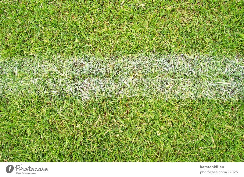 Auf der Linie spielen grün weiß Spielfeld Am Rand Wiese Gras Sport Rasen Fußball Grenze Schilder & Markierungen