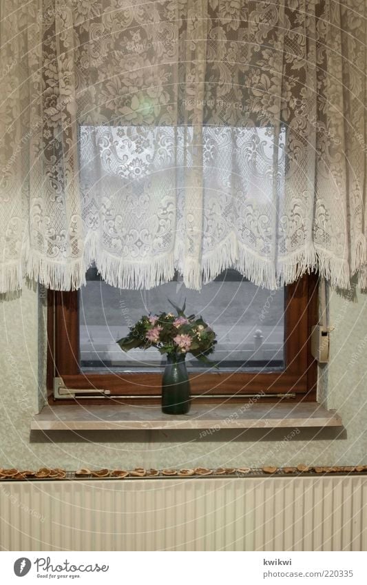 oma Häusliches Leben Wohnung Innenarchitektur Dekoration & Verzierung Tapete Raum Fenster Gardine Fensterbrett Blume Heizung Jalousie alt trist grün Vase
