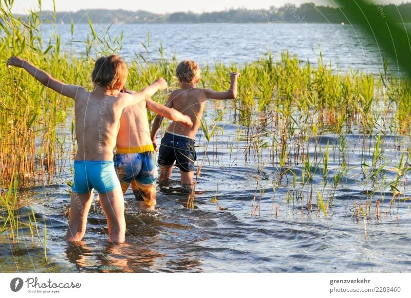 Seewartung Schwimmen & Baden Sommer Mensch Junge Kindheit 3 Kindergruppe 8-13 Jahre Abenteuer Schilfrohr Badesee Plauer Werder stak­sen warten