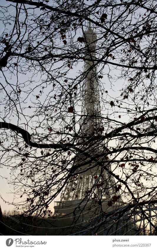 la tour eiffel Paris Frankreich Europa Hauptstadt Turm Bauwerk Architektur Tour d'Eiffel ästhetisch elegant Ferne groß historisch schön Farbfoto Außenaufnahme