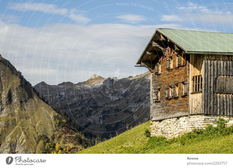 Herbst Wanderzeit IV Ferien & Urlaub & Reisen Ausflug Ferne Berge u. Gebirge wandern Himmel Schönes Wetter Alpen Bregenzerwald Gipfel Haus Hütte Almwirtschaft