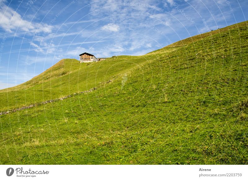 Zielobjekt Berge u. Gebirge wandern Himmel Schönes Wetter Wiese Alpen Bergwiese Bregenzerwald Hütte Alm Almwirtschaft Berghütte Ferne hoch klein oben blau grün