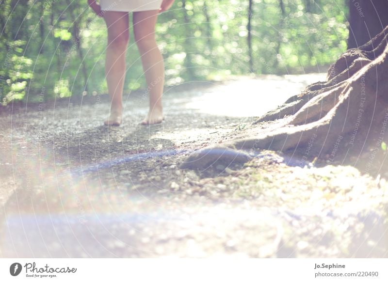 Mielikki 1 Mensch Natur Sommer Wald stehen braun grün Beine Wurzel Sonnenlicht Barfuß Einsamkeit Fußweg Frauenbein Minirock Minikleid Detailaufnahme