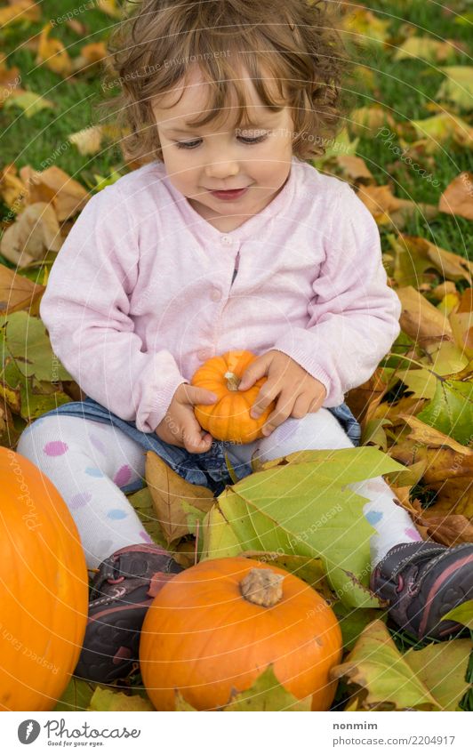 Umfassende Kürbise des entzückenden Mädchens todler auf einem Herbstfeld Freude Garten Halloween Natur Blatt Park Wald Lächeln träumen Umarmen Fröhlichkeit hell