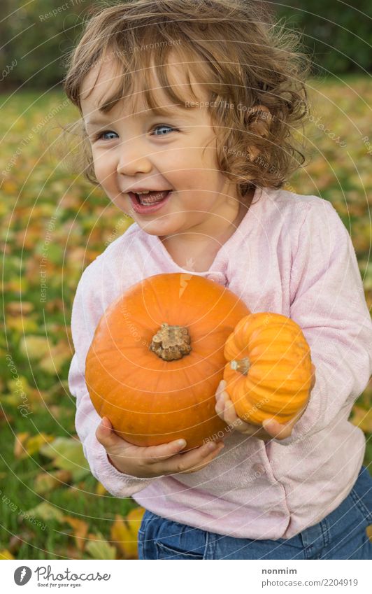 Bezauberndes Mädchen-Kleinkind spielt mit Kürbissen auf einem Herbstfeld Freude Garten Halloween Natur Blatt Park Wald Lächeln träumen Umarmen Fröhlichkeit hell