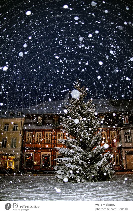 Vorfreude schlechtes Wetter Schnee Schneefall Baum Kleinstadt Haus Fachwerkhaus Weihnachtsbaum Farbfoto mehrfarbig Außenaufnahme Experiment Abend Nacht