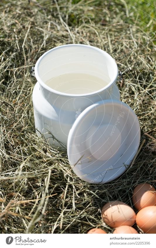 Frische Milch direkt vom Bauern Lebensmittel Ei Hühnerei Ernährung Getränk Erfrischungsgetränk Lifestyle kaufen Gesunde Ernährung Ferien & Urlaub & Reisen