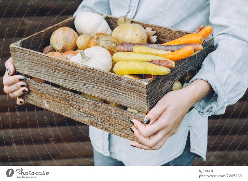Erntezeit Lebensmittel Gemüse Ernährung Bioprodukte Vegetarische Ernährung Mensch feminin Frau Erwachsene Hand 18-30 Jahre Jugendliche frisch Gesundheit