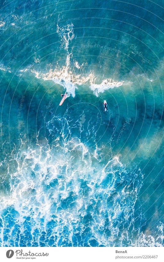 Surfer reiten Wellen im türkisblauen Meer exotisch Freude Erholung Schwimmen & Baden Freizeit & Hobby Ferien & Urlaub & Reisen Tourismus Ausflug Abenteuer Ferne
