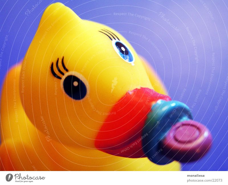 babyente2 Badeente Schnuller gelb Spielzeug Wimpern Schnabel Tier Makroaufnahme Nahaufnahme Ente Statue Auge Im Wasser treiben Schwimmen & Baden