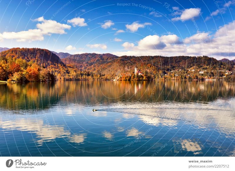 Erstaunlicher Herbst Blick auf Bled Lake. Slowenien Gebirge schön Ferien & Urlaub & Reisen Tourismus Sommer Insel Berge u. Gebirge Natur Landschaft Himmel Baum